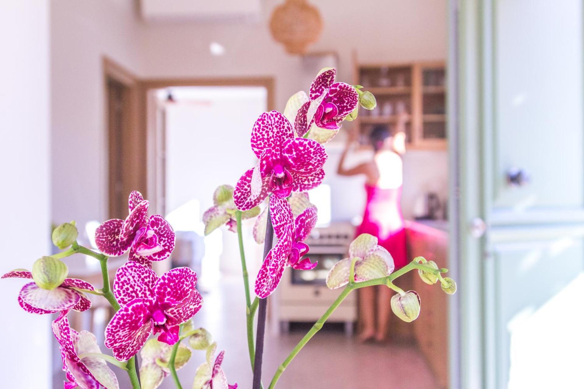 Vila Petra Boutique